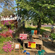 ไร่แผ่นดินทอง