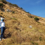 แหลมกระทิง