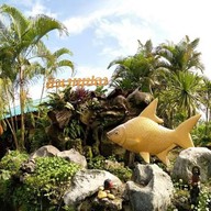 ร้านนิวเมนูปลา