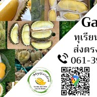 My Garden ทุเรียนและผลไม้คุณภาพ