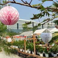 Pongyo at sansiri backyard