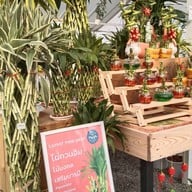 Pongyo at sansiri backyard