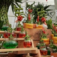 Pongyo at sansiri backyard