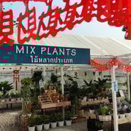 Pongyo at sansiri backyard