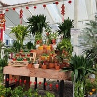 Pongyo at sansiri backyard