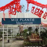 Pongyo at sansiri backyard