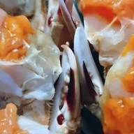 ร้านยำยกร้าน