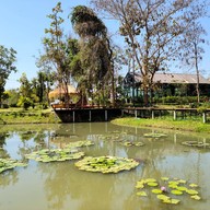 สวนทอฝันคาเฟ่