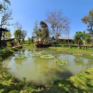 สวนทอฝันคาเฟ่