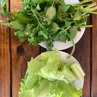 ป๊อกโภชนา