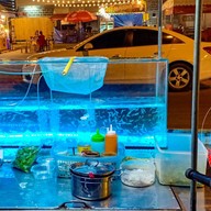 กุ้งโคโยตี้พัทยา