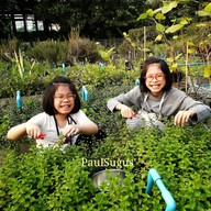 บรรยากาศ PaulSugus' พอลซูกัส ซ.กาญจนาภิเษก 7