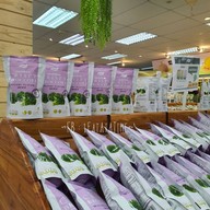 เจียไต๋ กาญจนบุรี กาญจนบุรี