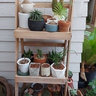 บรรยากาศ Dodoblahblah Cafe