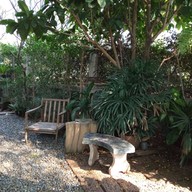 บรรยากาศ Grilled Pork with Fresh Milk