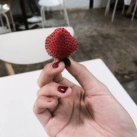 SIMPLE DAY GELATO & CHOCOLATE เดอะบล๊อค ราชพฤกษ์