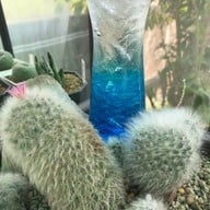 ริมทางกาแฟ