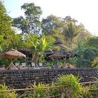 เฟิร์นริมธาร