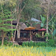 เฟิร์นริมธาร