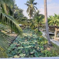ผัดไทยรสเจ็บ (คาเฟ่เดอแฟง)  บางบอน