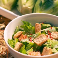 Caesartopia ช้างม่อย