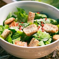 Caesartopia ช้างม่อย