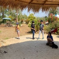 บรรยากาศ BerryCU Farm