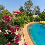 บรรยากาศ BerryCU Farm