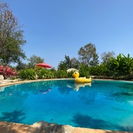 บรรยากาศ BerryCU Farm