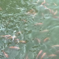 ก๋วยเตี๋ยวเรือ “อยู่นั่นไง” ปทุมธานี