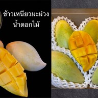 My Garden ทุเรียนและผลไม้คุณภาพ