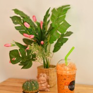 เมนูของร้าน ต้นตำรับชาพะยอมเมืองตาก สาขาจอมพล สาขาจอมพล