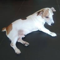 Oasis Cafe & Restaurant