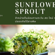 อันตามสั่ง ซอยคุณพระ