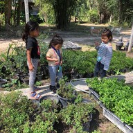 Sparrow's cafe in the farm Huahin