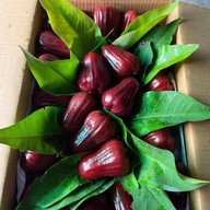 ร้านสันติ ผลไม้สามพราน ฝรั่ง ชมพู่ มะม่วง สาขาสี่มุมเมือง