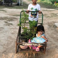Sparrow's cafe in the farm Huahin
