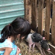 Sparrow's cafe in the farm Huahin