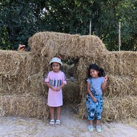 Sparrow's cafe in the farm Huahin