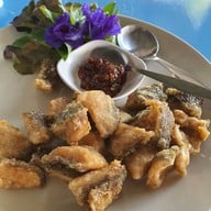 ครัวแกงป่า