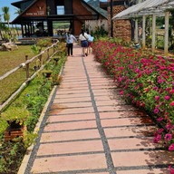 โรงนาคาเฟ่