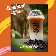 บรรยากาศ ชิลล์กับช้าง by Elephant Jungle Sanctuary