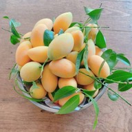 มะยงชิด มะปรางสุโขทัย สาขาขอนแก่น