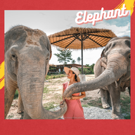 บรรยากาศ ชิลล์กับช้าง by Elephant Jungle Sanctuary