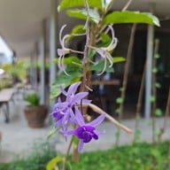 บรรยากาศ เชฟชุมชน By ไร่ดินไทยชุมชนอ่าวน้อย