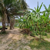 บรรยากาศ เชฟชุมชน By ไร่ดินไทยชุมชนอ่าวน้อย