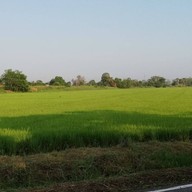 สวนวารีภิรมย์