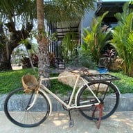 SAMMA HOUSE สามมา เฮาส์