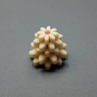 Thaigashi ไม่มีสาขา