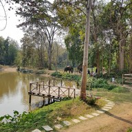 บรรยากาศ Elephant House Lake view Cafe